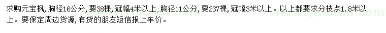 求购胸径11、16公分元宝枫