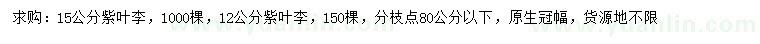 求购12、15公分紫叶李