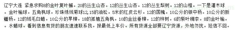 求购金叶复叶槭、丛生山杏、丛生梨树等