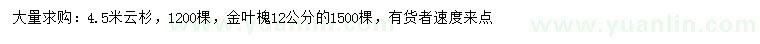 求购4.5米云杉、12公分金叶槐