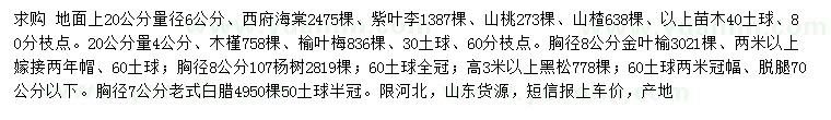 求购西府海棠、紫叶李、山桃等