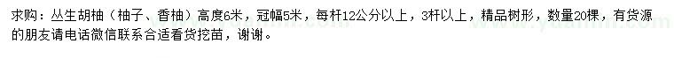 求购高6米胡柚（柚子、香柚）