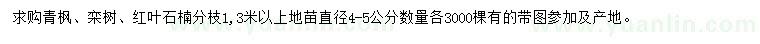 求购青枫、栾树、红叶石楠