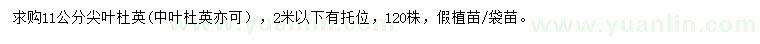 求购11公分尖叶杜英、中叶杜英