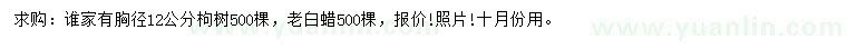 求购胸径12公分构树、老白蜡