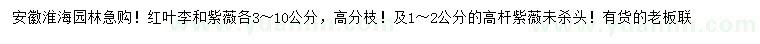 求购红叶李、紫薇、高杆紫薇