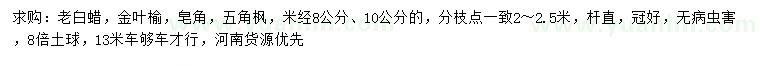 求购老白蜡、金叶榆、皂角等