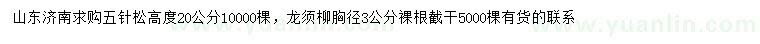 求购高20公分五针松、胸径3公分龙须柳