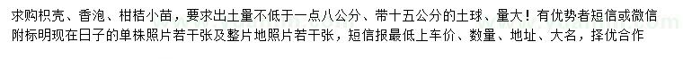 求购枳壳、香泡、柑桔小苗