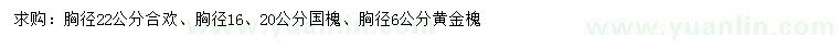 求购合欢、国槐、黄金槐