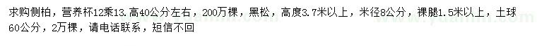 求购高40公分左右侧柏、3.7米以上黑松