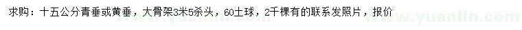 求购15公分青垂、黄垂