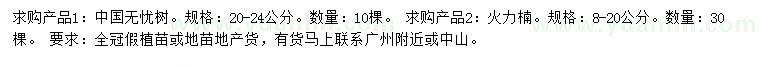 求购20-24公分无忧树、8-20公分火力楠