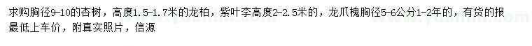 求购杏树、龙柏、紫叶李等