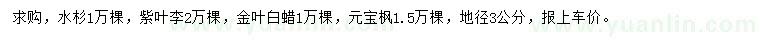 求购水杉、紫叶李、金叶白蜡等