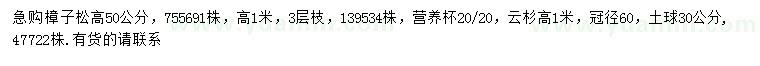 求购高50公分、1米樟子松、1米云杉