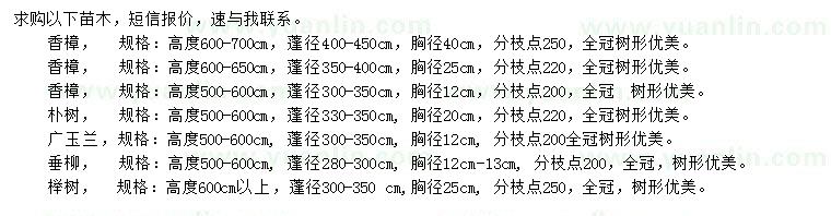 求购香樟、朴树、广玉兰等