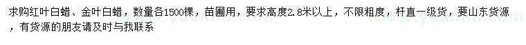 求购高2.8米以上红叶白蜡、金叶白蜡