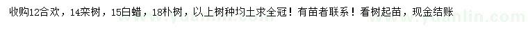 求购合欢、栾树、白蜡等