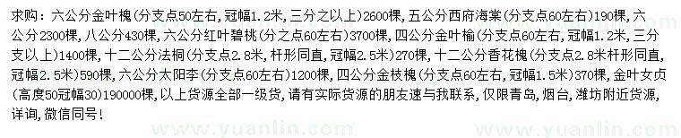 求购金叶槐、西府海棠、红叶碧桃等