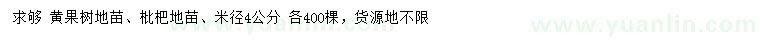 求购米径4公分黄果树、枇杷树