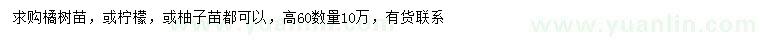 求购橘树、柠檬树、柚子树苗