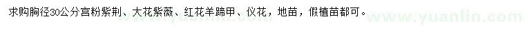 求购宫粉紫荆、大花紫薇、红花羊蹄甲等