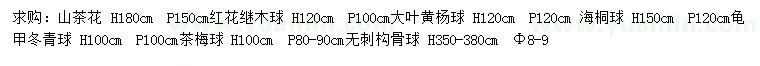 求购山茶花、红花继木球、大叶黄杨球等