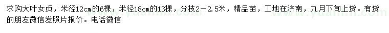 求购米径12、18公分大叶女贞