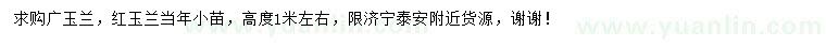 求购高1米广玉兰、红玉兰