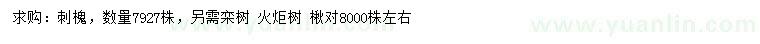 求购刺槐、栾树、火炬树