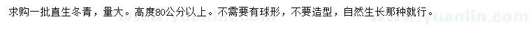 求购高80公分以上冬青