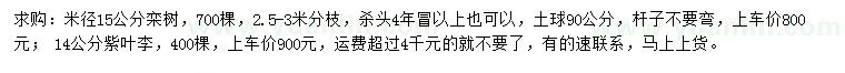 求购米径15公分栾树、14公分紫叶李