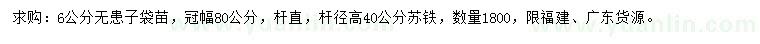 求购6公分无患子、高40公分苏铁