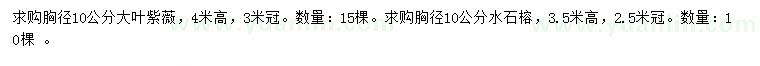 求购胸径10公分大叶紫薇、水石榕