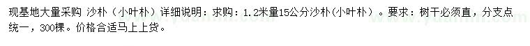 求购1.2米量15公分沙朴、小叶朴