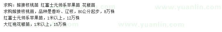 求购嫁接核桃苗、红富士元帅系苹果苗、大红袍花椒苗