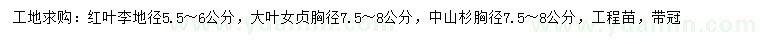 求购红叶李、大叶女贞、中山杉