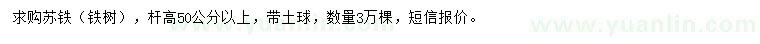 求购杆高50公分以上苏铁