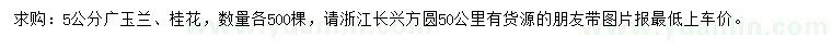 求购5公分广玉兰、桂花