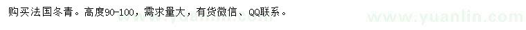 求购高90-100公分法国冬青