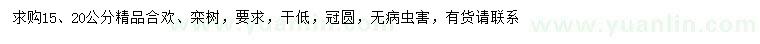 求购15、20公分合欢、栾树