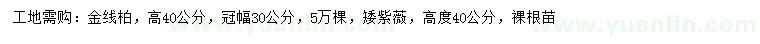 求购高40公分金线柏、矮紫薇