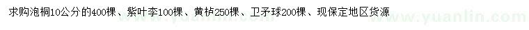 求购泡桐、紫叶李、黄栌等