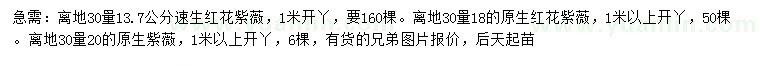 求购速生红花紫薇、原生红花紫薇、原生紫薇