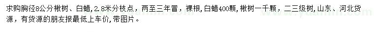 求购胸径8公分楸树、白蜡