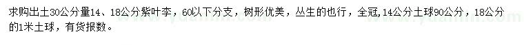 求购30量14、18公分紫叶李