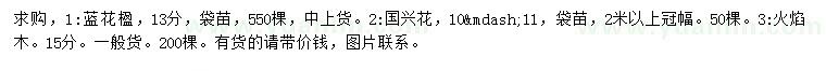 求购蓝花楹、国兴花、火焰木