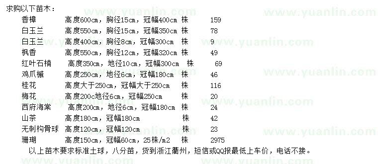 求购香樟、白玉兰、枫香等