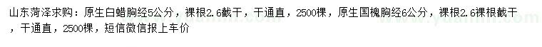 求购胸径5公分原生白蜡、6公分原生国槐